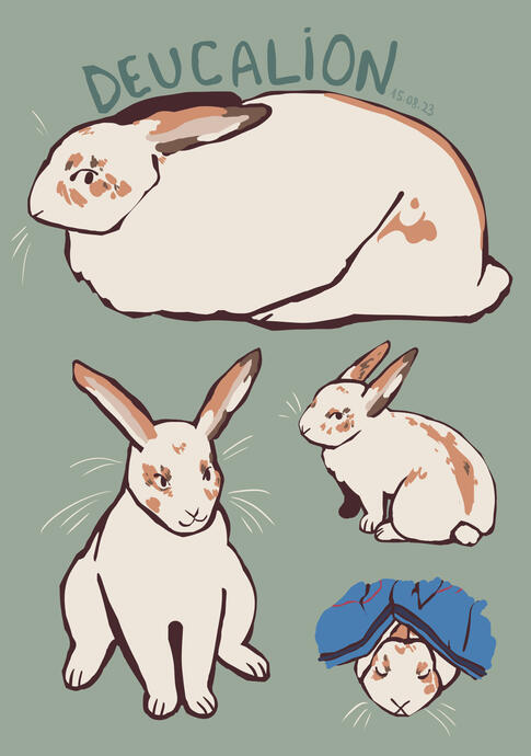 Deucalion - illu 2023