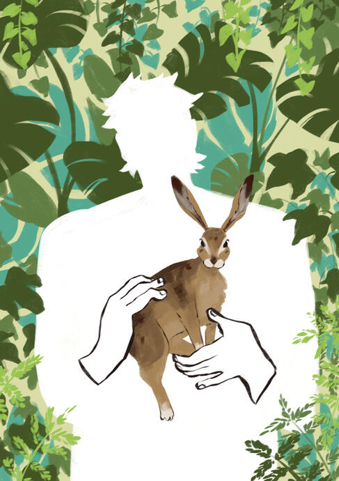 Dans mon coeur, le lièvre - illu 2024